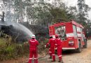 Pertamina EP Bantu Padamkan Lima Titik Kebakaran Lahan di Jambi